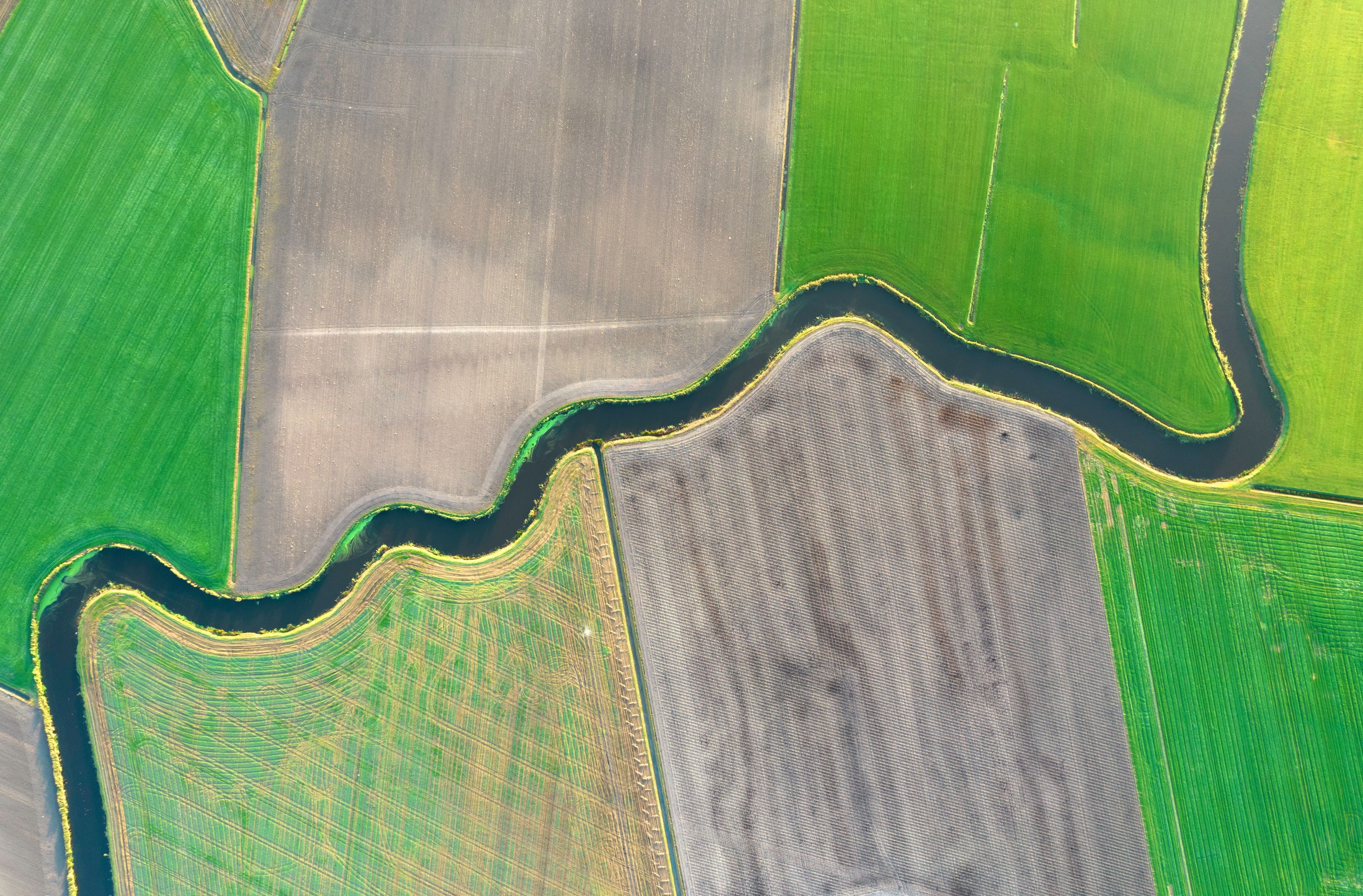 Colère du secteur agricole : ces très chères jachères